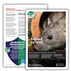 BPCA Rattled by Rats PestAware Advice Sheet icon BPCA Rattled by Rats PestAware Advice Sheet icon