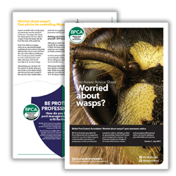 BPCA Worried about wasps PestAware Advice Sheet icon BPCA Worried about wasps PestAware Advice Sheet icon