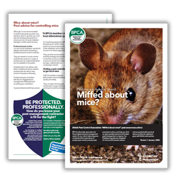 Miffed about mice advice sheet icon Miffed about mice advice sheet icon