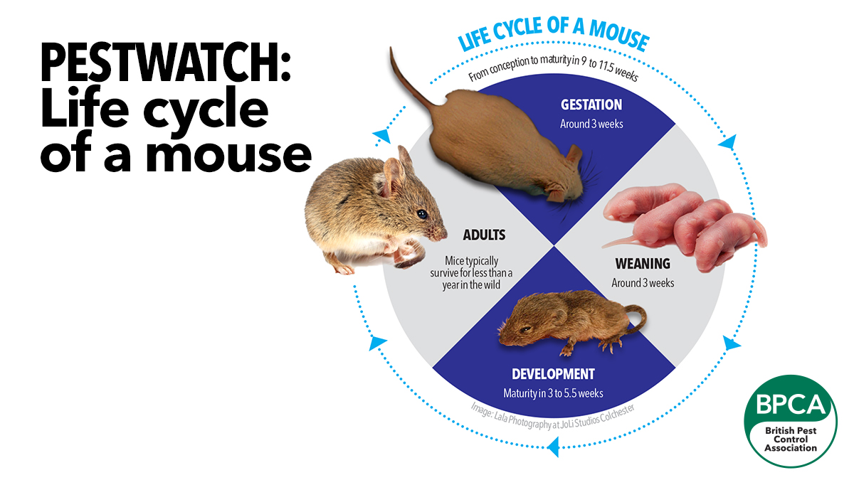 620 Life cycle 620 Life cycle
