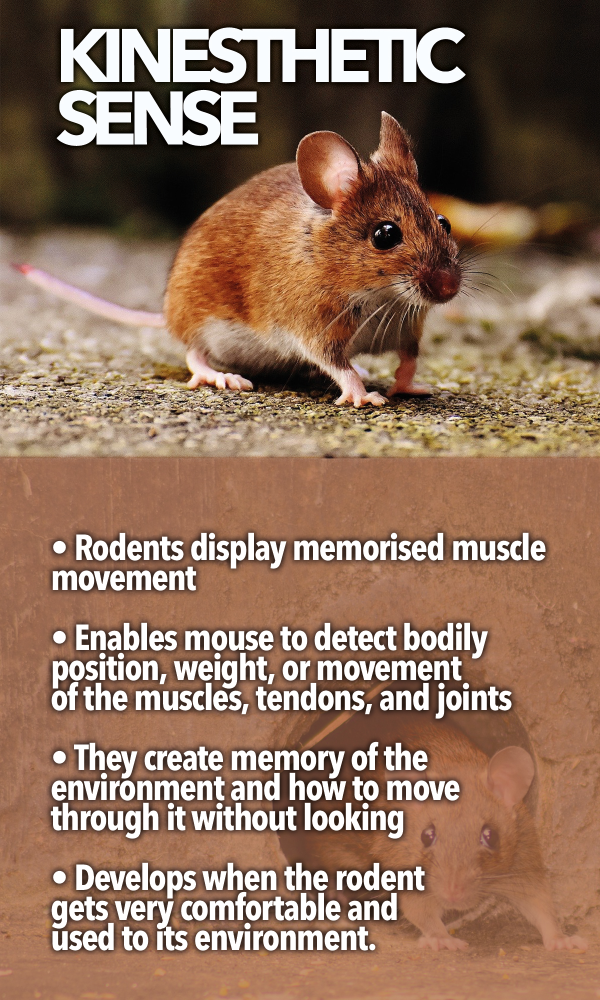 975 infographic 975 infographic