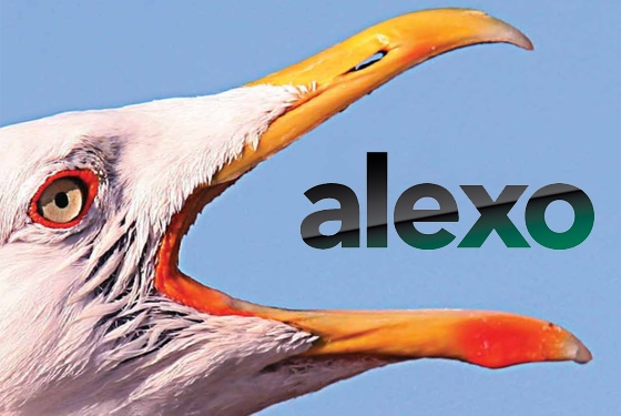 2012-alexo 2012-alexo