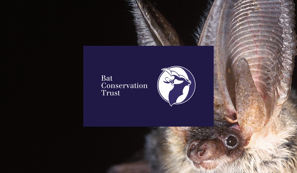 BatConservationTrustBCTworkswithBPCA BatConservationTrustBCTworkswithBPCA