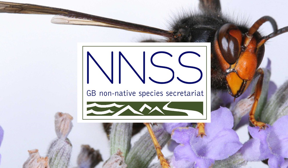 GBNon-nativeSpeciesSecretariatNNSSandBPCA GBNon-nativeSpeciesSecretariatNNSSandBPCA