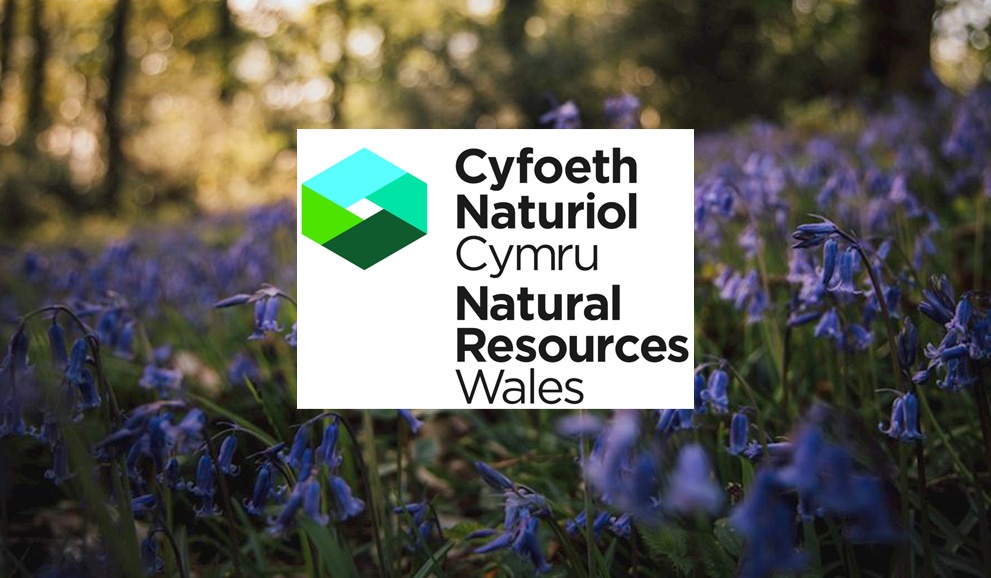 NaturalResourcesWalesNRWandBPCA NaturalResourcesWalesNRWandBPCA