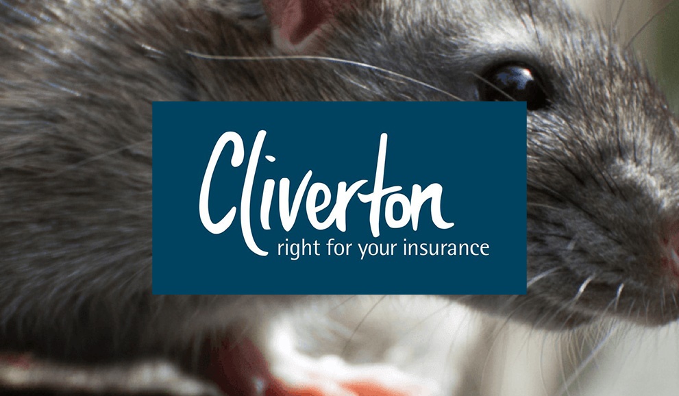 ClivertonInsurancePestControlPartner ClivertonInsurancePestControlPartner