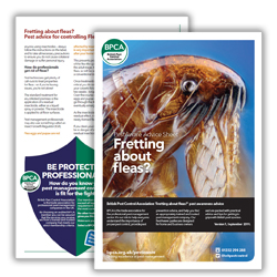 BPCA Fretting about fleas PestAware Advice Sheet icon BPCA Fretting about fleas PestAware Advice Sheet icon