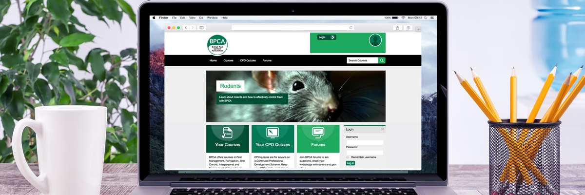 BPCA online learining page banner BPCA online learining page banner